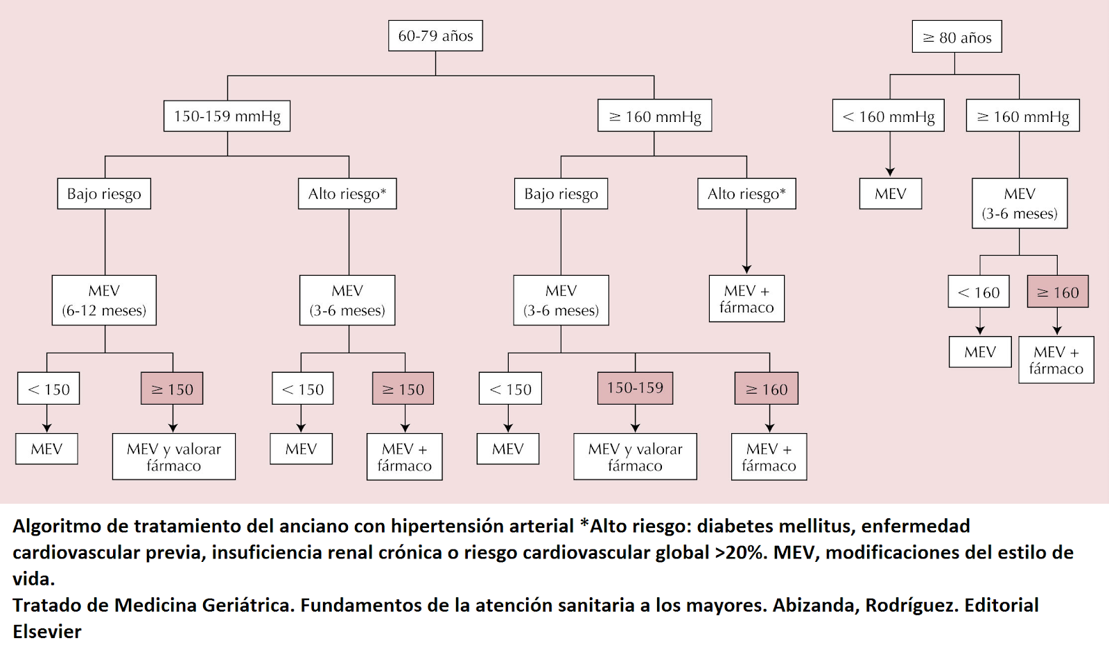 Algoritmo del tto HTA en AM (Tratado Geriatría).png