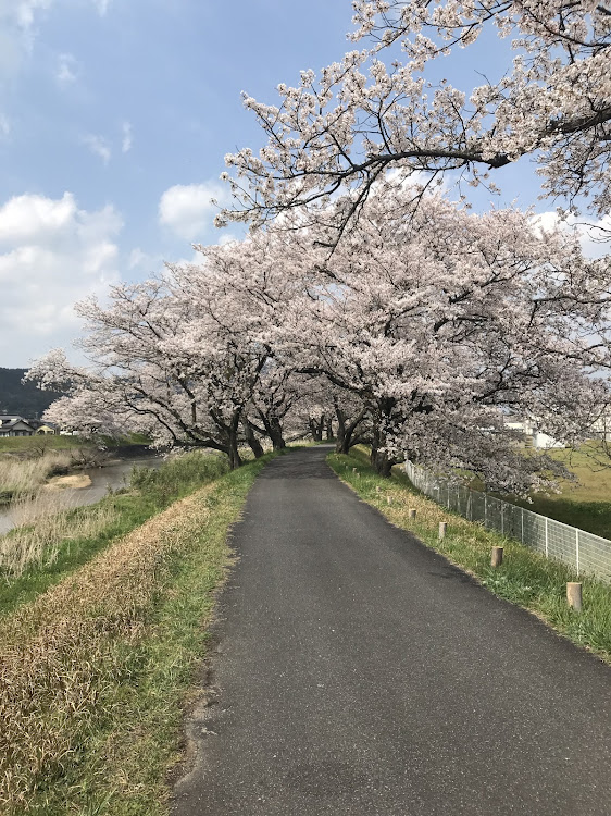 の投稿画像6枚目