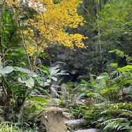 【大板根森林渡假村】椰林西餐廳