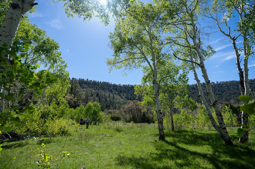 Land 2