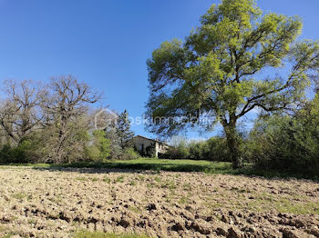 ferme à Gaillac (81)