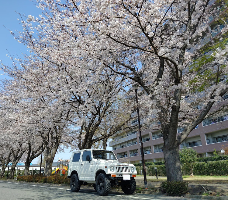 の投稿画像1枚目