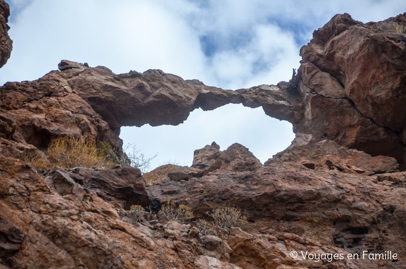 Arch trail, organ pipe cactus NM