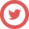 Item logo image for twitter プロモーション非表示