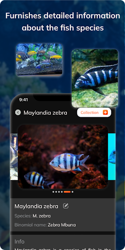 Screenshot FishDetect - Fish Identifier