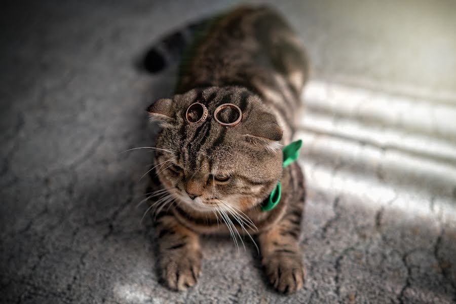 Huwelijksfotograaf Igor Demidov (svadba-fotograf). Foto van 5 juni 2022