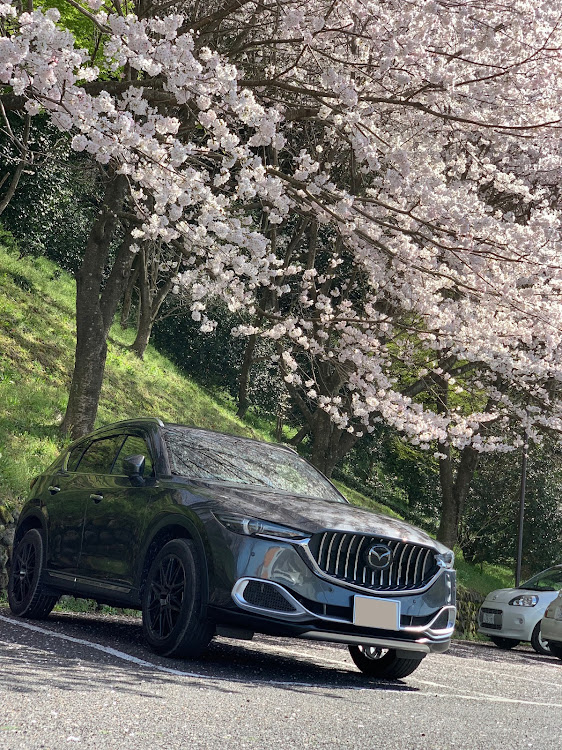 CX-5のHI'Dさんが投稿したカスタム事例の投稿画像4枚目