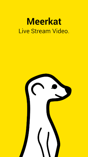 Meerkat