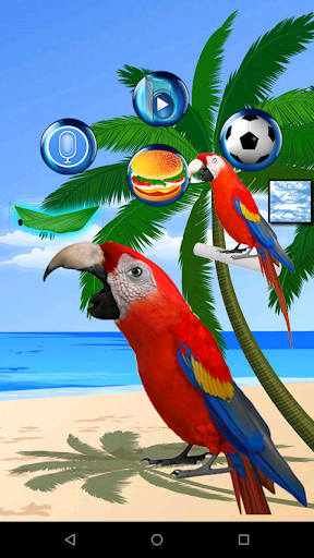 Screenshot Talking Parrot 2