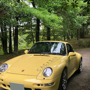 993 カレラ