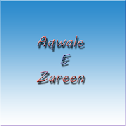 Aqwale E Zareen  Icon