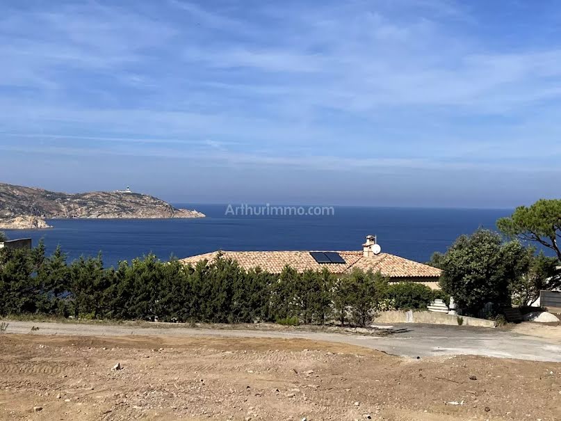 Vente terrain  1103 m² à Calvi (20260), 624 000 €