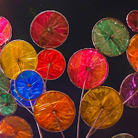 Fiori di Biciclette di 