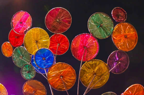 Fiori di Biciclette di Savino De Serio