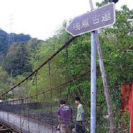 獅潭名產 仙山仙草