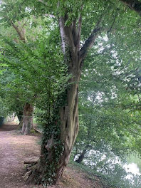 terrain à Saint-Léger-en-Bray (60)