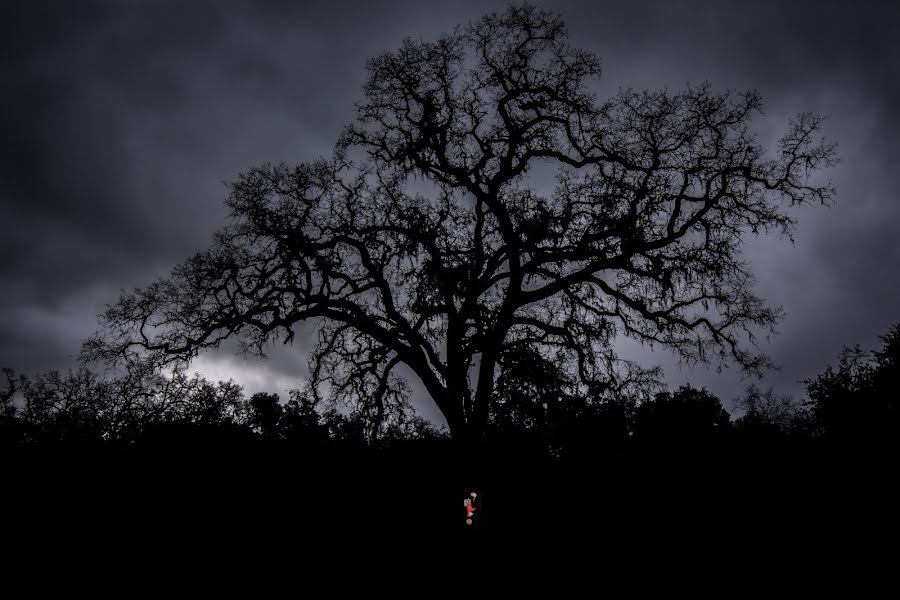 Svatební fotograf Antonio Leon (napaweddingco). Fotografie z 5.února 2019