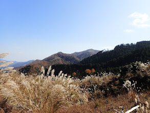 かやとの原から国見山方面