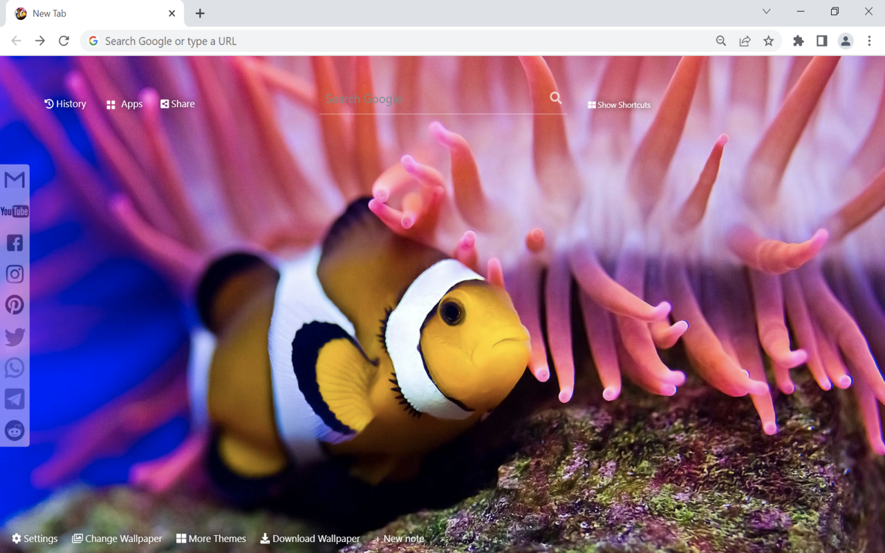 Clownfish Wallpaper New Tab Preview image 3