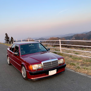 190シリーズ W201