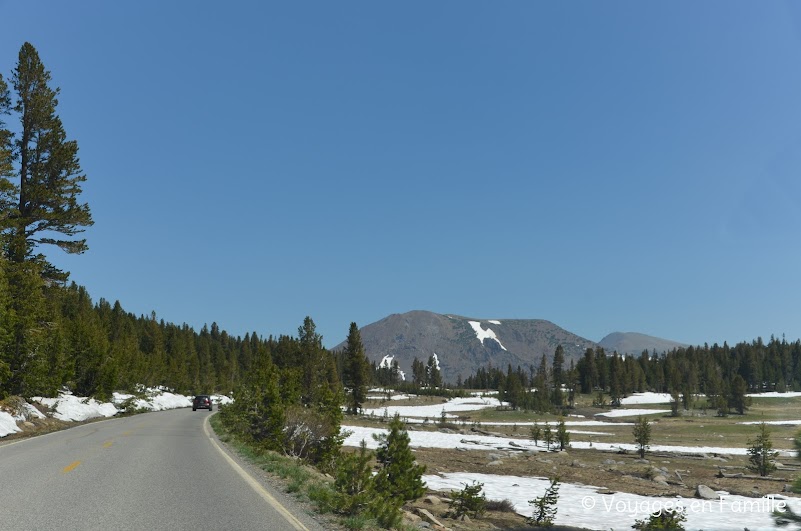 Tioga road