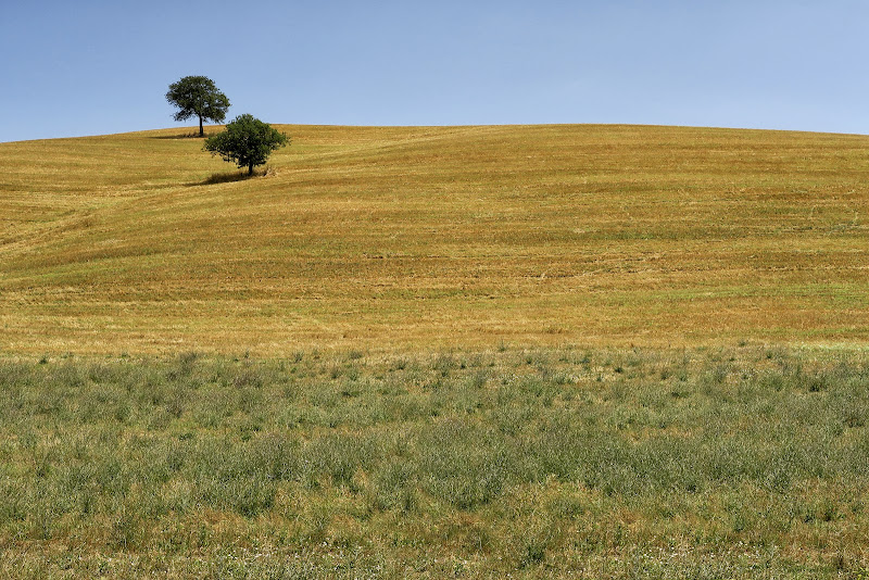 Terra toscana di Yoyo