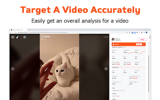 TikBuddy: TikTok Analytics Online Toolkit