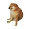 Item logo image for Shiba Inu Wallpaper