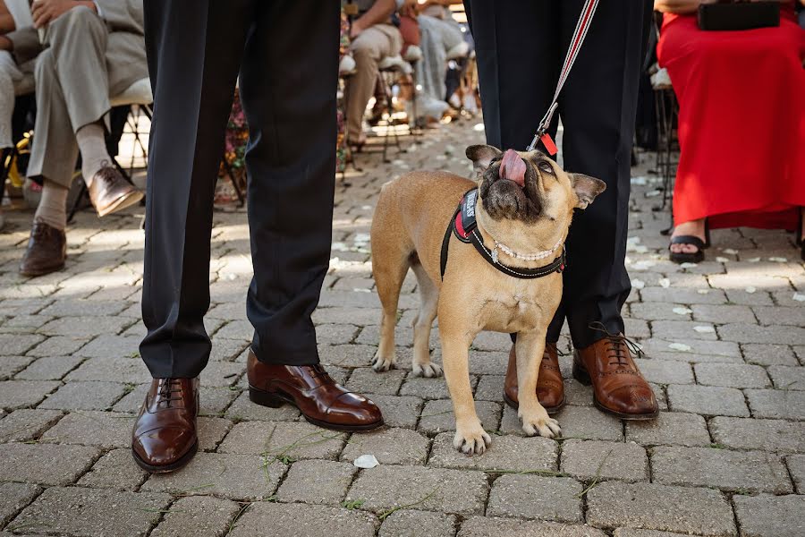 Fotografo di matrimoni Duccio Argentini (argentini). Foto del 30 novembre 2023