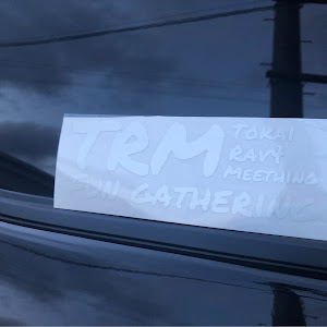 RAV4 MXAA54