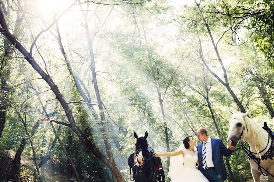 Fotografo di matrimoni Anna Eroshenko (annaeroshenko). Foto del 31 agosto 2014