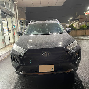 RAV4 MXAA54