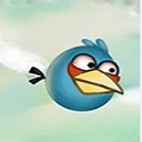 Angry Birds New