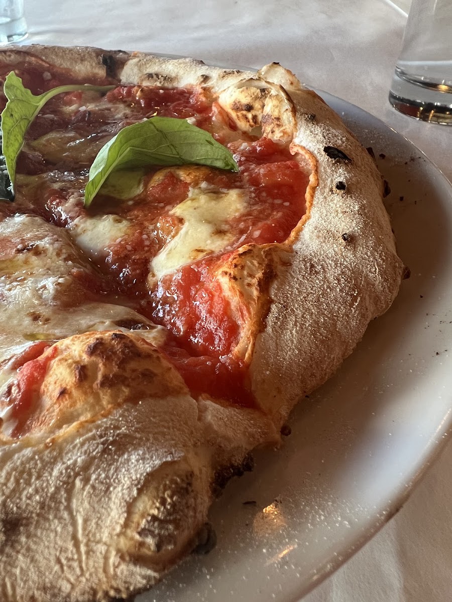 Gluten-Free at IL Dolce Ristorante