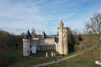 château à Sancoins (18)