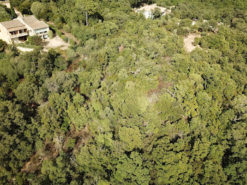 terrain à batir à Conca (2A)