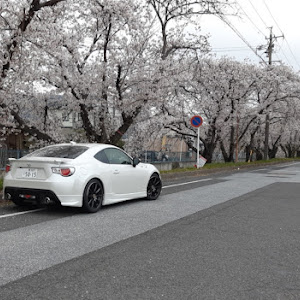 86 ZN6
