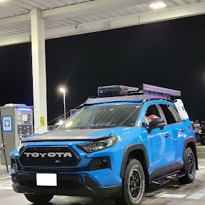 RAV4 MXAA54