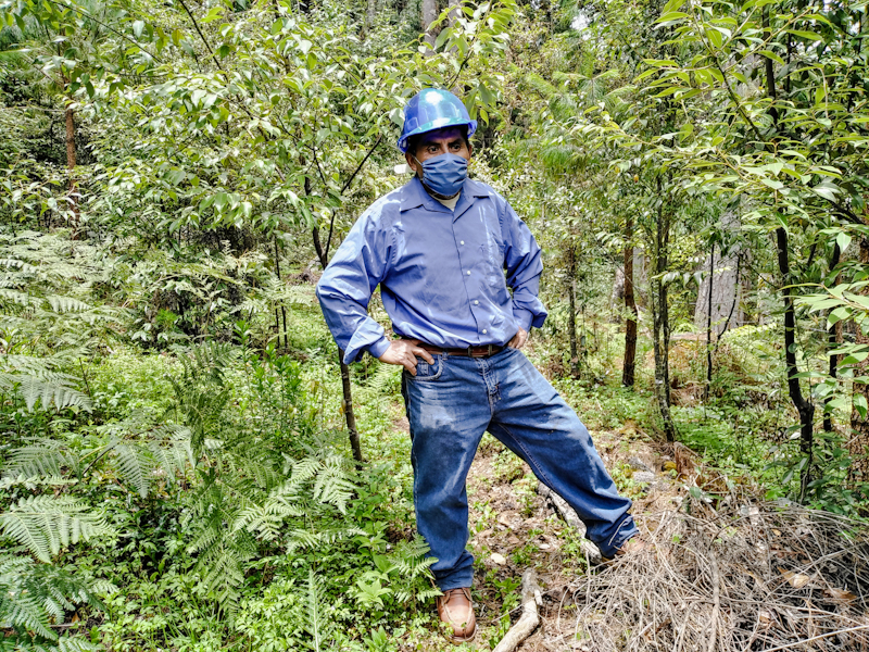 Analco-manejo forestal comunitario-oaxaca