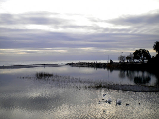 Laguna dei Cigni di Alexis Rowen