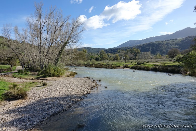 Estación de Cortes - Cañón de las Buitreras - Estación de Gaucín