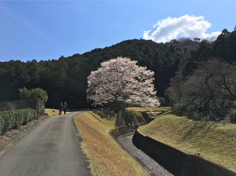 の投稿画像7枚目