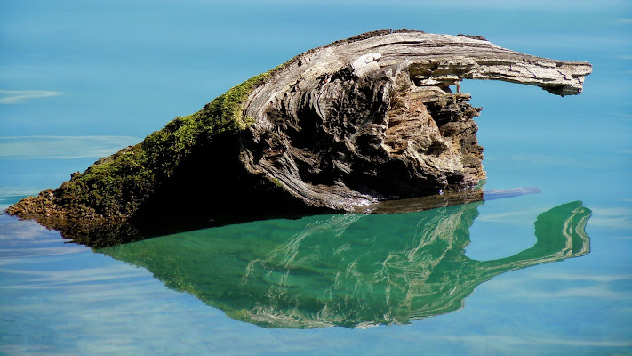 "Forme nell'acqua" (Plitvice Hr) di Bitop62