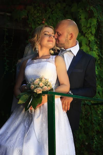 Wedding photographer Vladimir Rega (rega). Photo of 13 October 2016