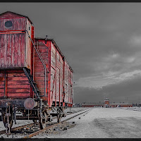 auschwitz birkenau - senza ritorno ...  di 