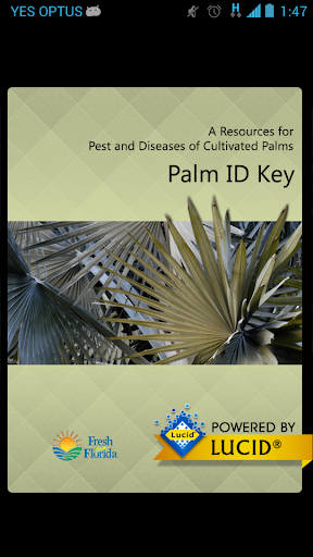 Screenshot Palm ID Key