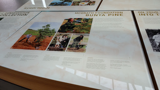 Bunya Pine Information Sign