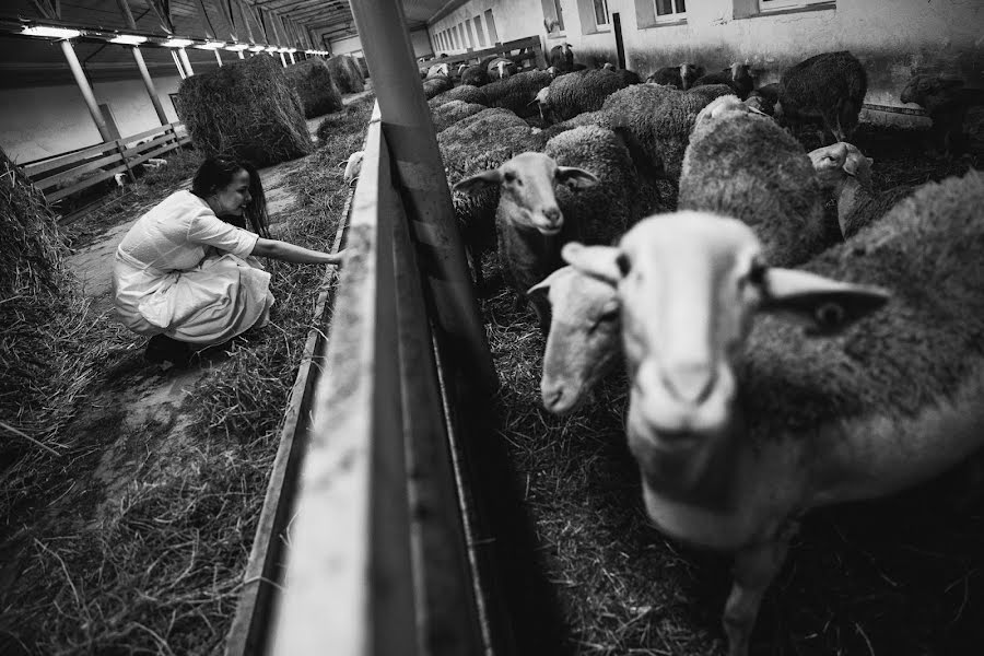 Fotograful de nuntă Artem Vindrievskiy (vindrievsky). Fotografia din 1 noiembrie 2016