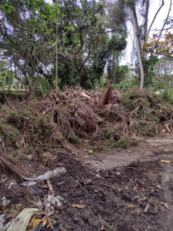 Lote / Terreno