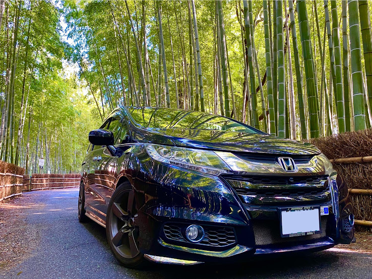 オデッセイの10万キロ達成車・今年もあとわずか・竹林に関するカスタム事例の投稿画像1枚目